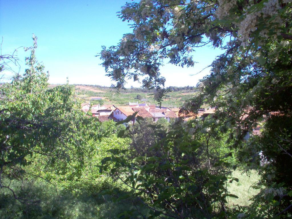 Apartamento El Dragon Serrano Sotoserrano 外观 照片